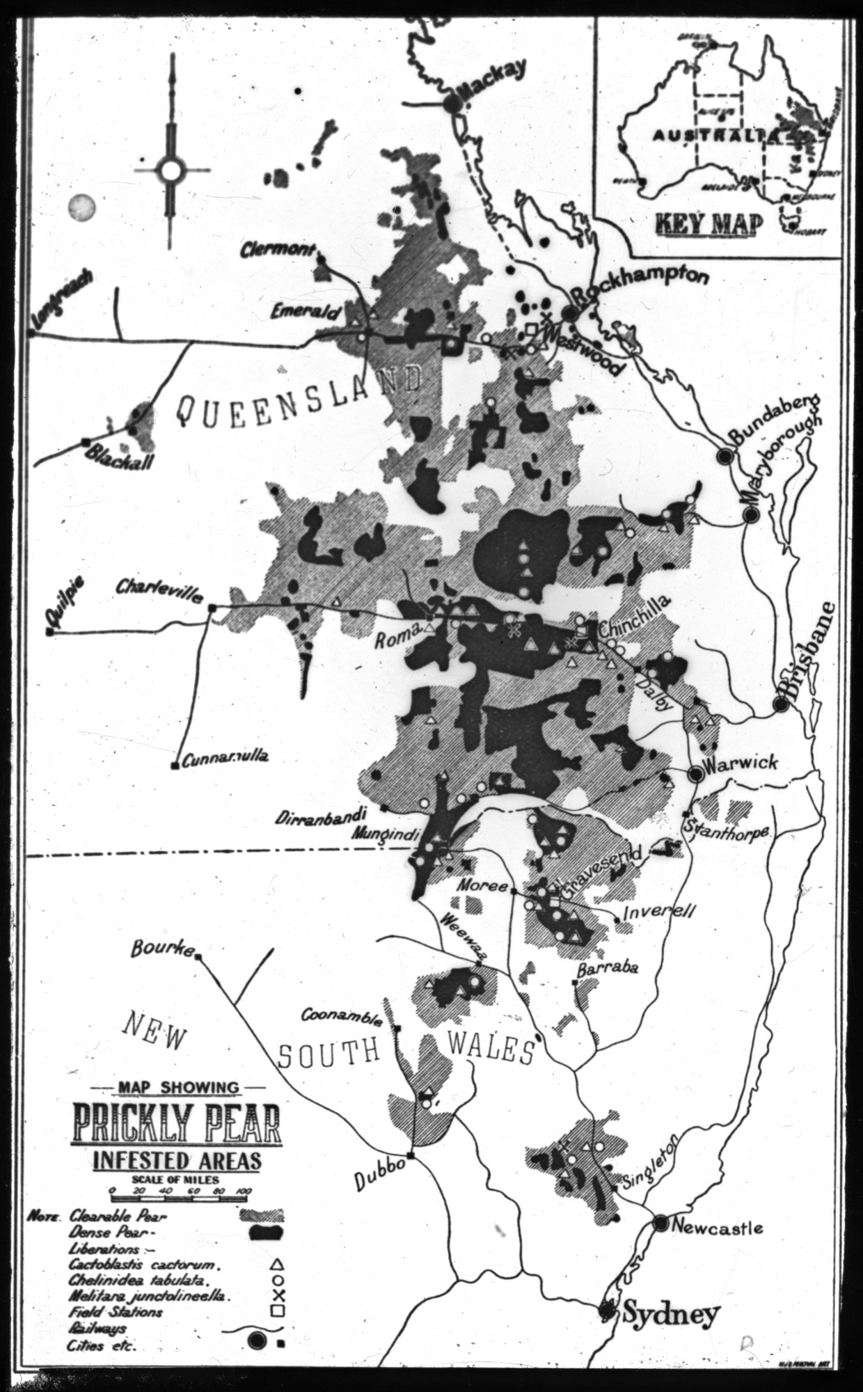 Map showing prickly pear-infested areas, 1923–1932.