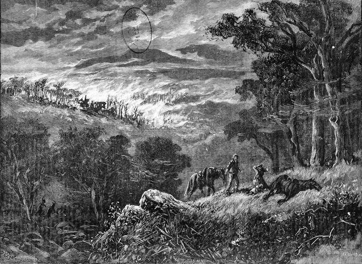 Black and white illustration depicting a man and woman with horses walking through bushland and fleeing from a fire that has devastated their home. One of the horses is lying on the ground and appears to be dead.