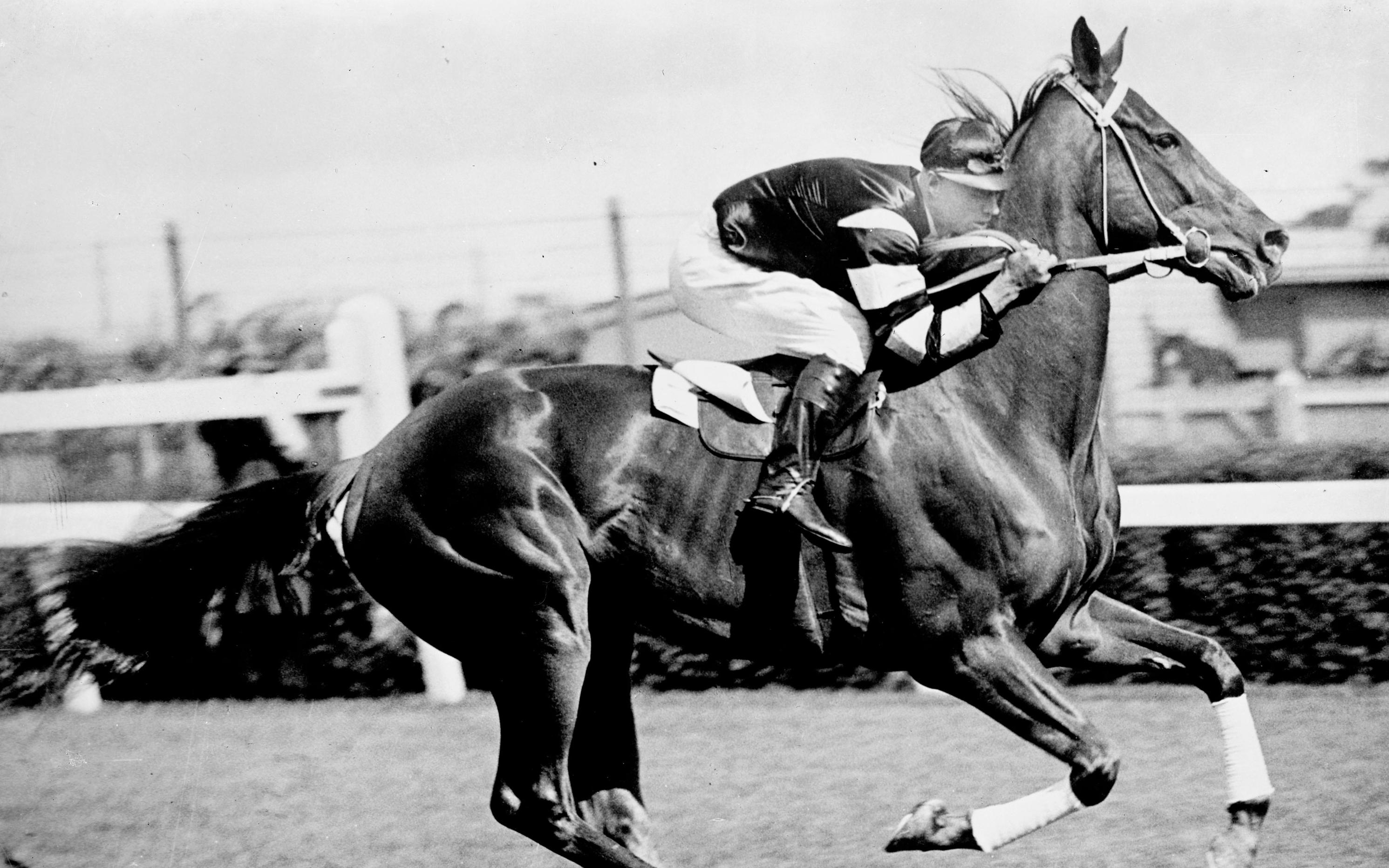 Phar Lap and jockey, about 1930.
