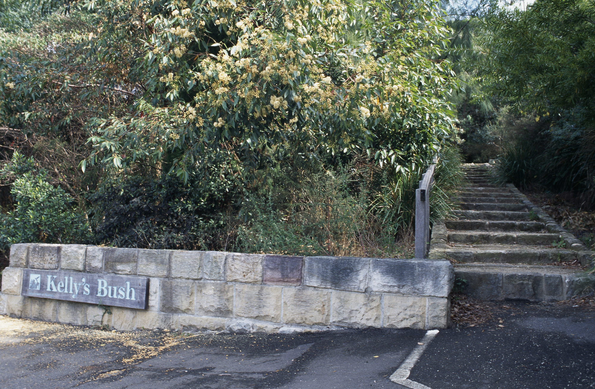 <p>Kelly’s Bush. A Sydney park that was set to have houses built over it during the 1970s, but was saved by community activism</p>