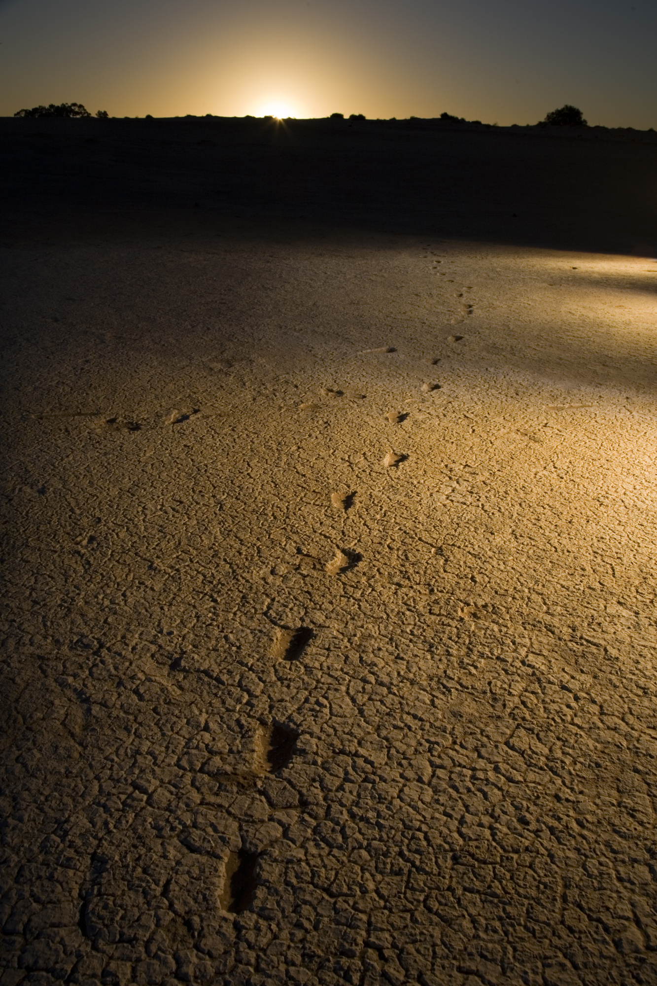 Human footprints from 19,000 – 23,000 years ago, found at Willandra Lakes in south - eastern Australia.