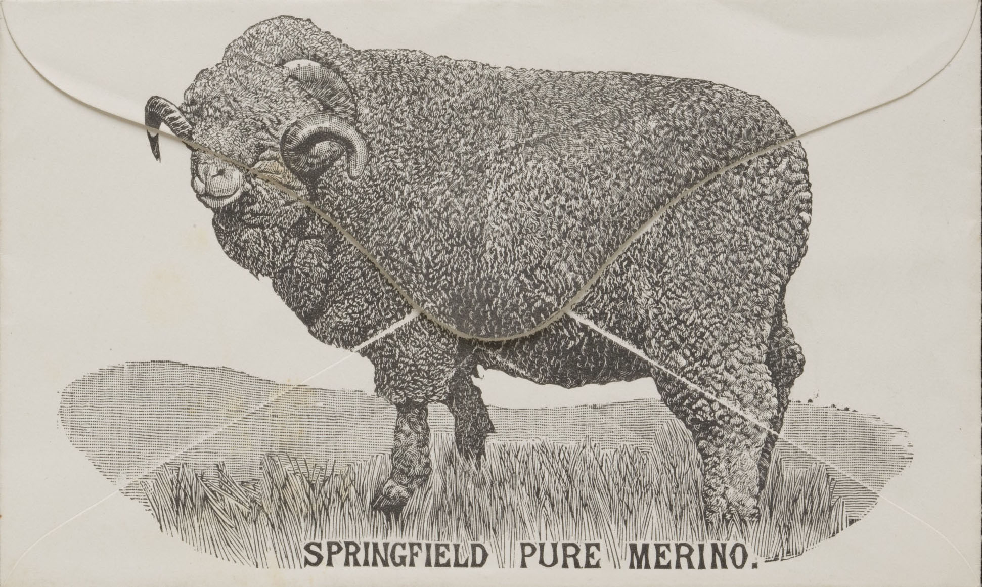 Envelope with an illustration of a merino ram on it.