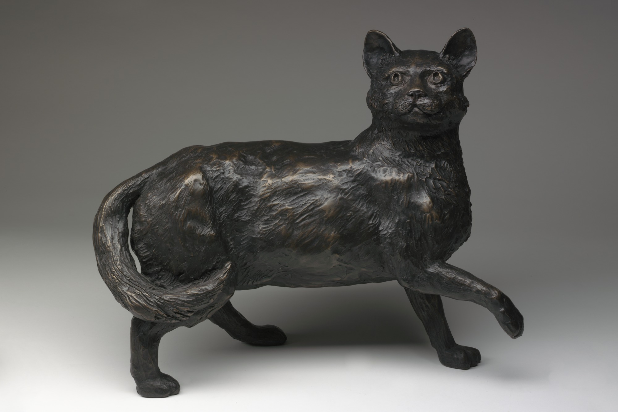 Bronze full-size statue of Matthew Flinders’ cat Trim, who travelled with Flinders during his circumnavigation of Australia. Sculpted by John Cornwell