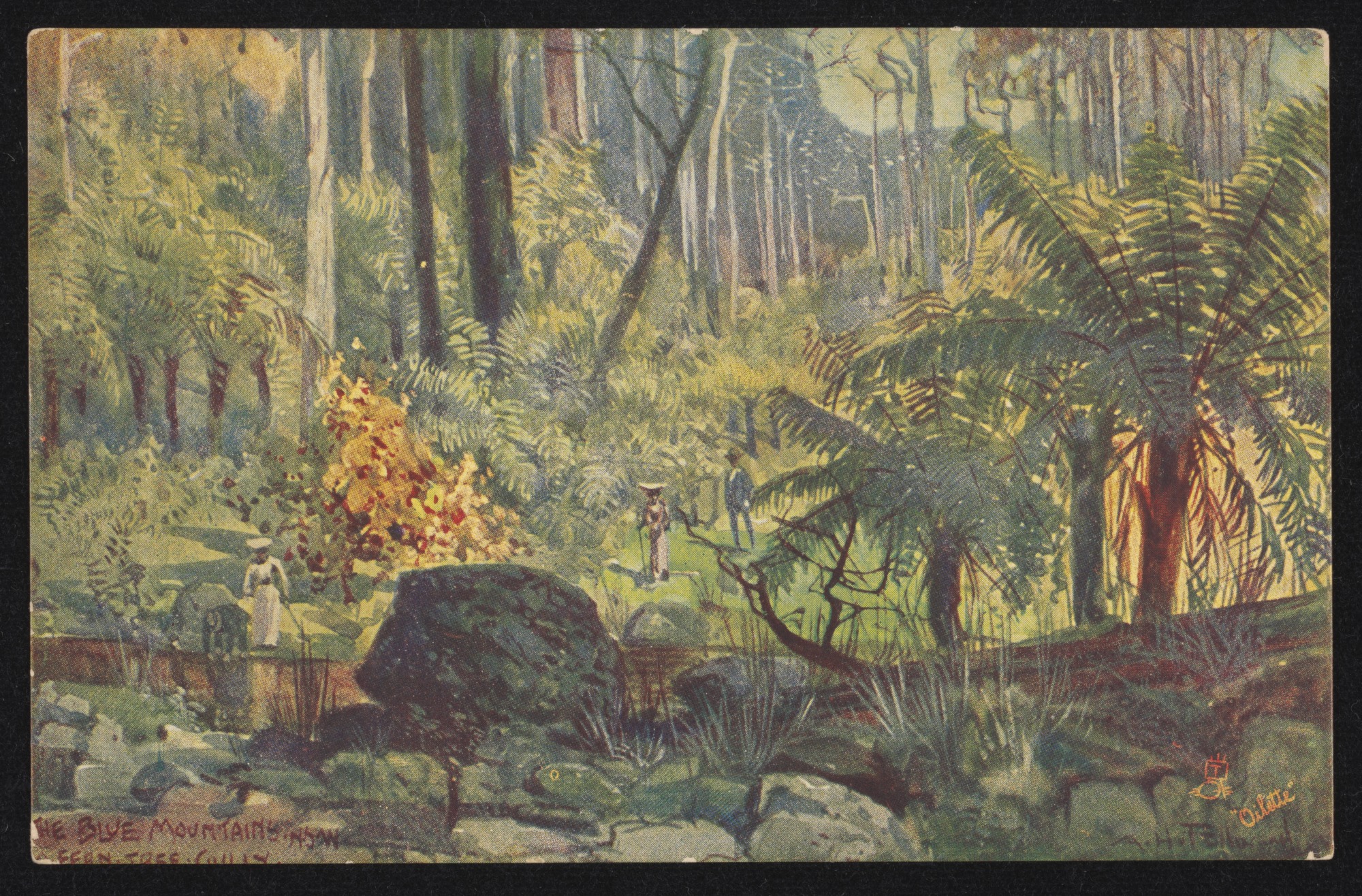 A postcard showing Fern Tree Gully in the Blue Mountains 