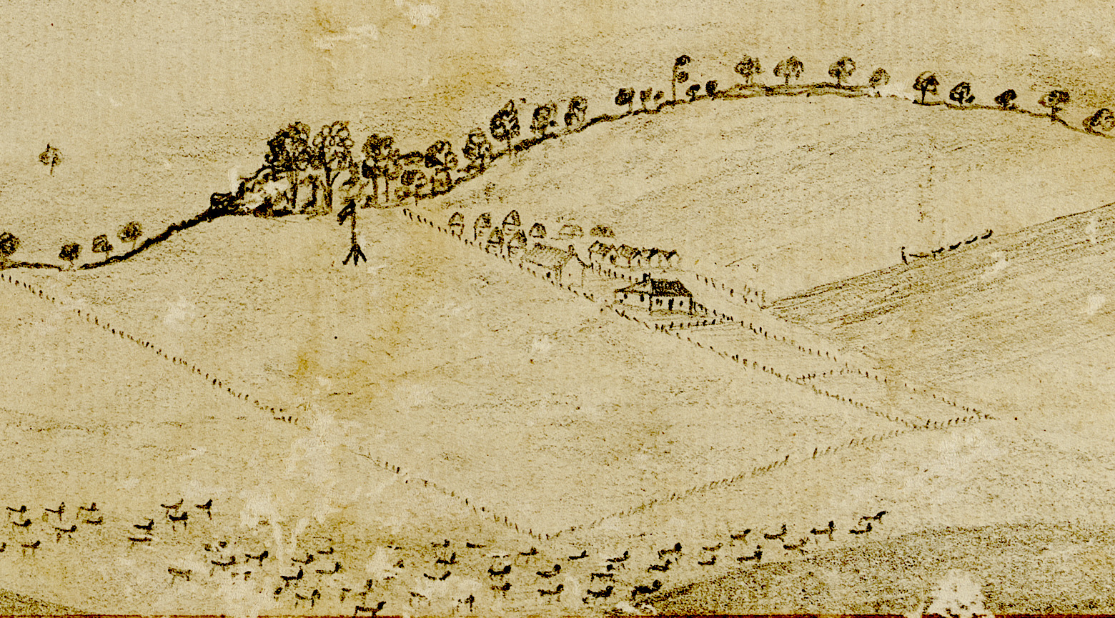 A sketch of the Bathurst Plains from about 1820