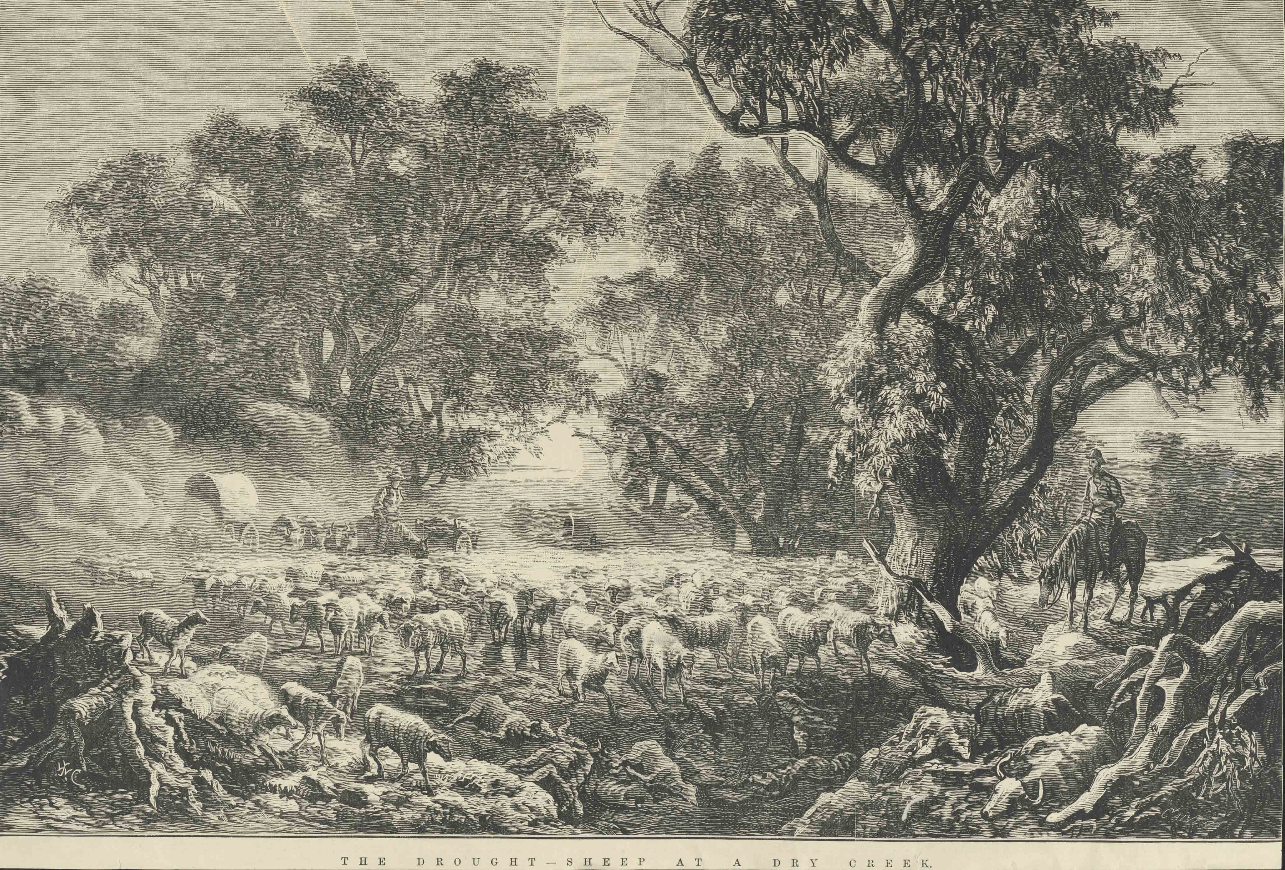 The Drought, Sheep at a Dry Creek, J.W.C. Calvert, 