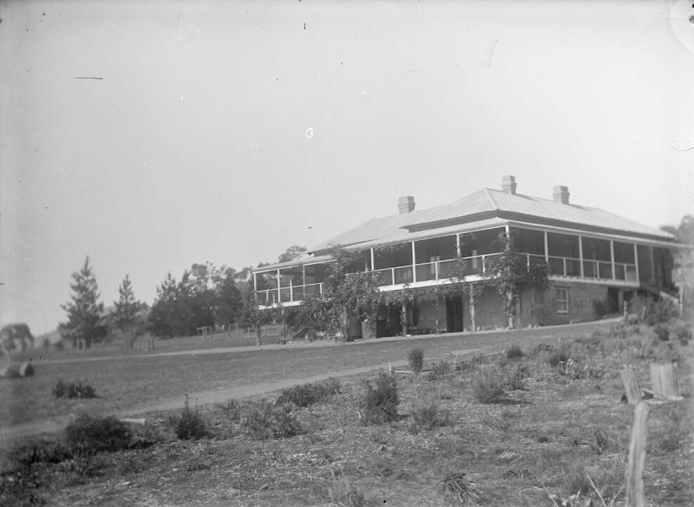 Lambrigg, the home of William Farrer, near what is now Canberra.