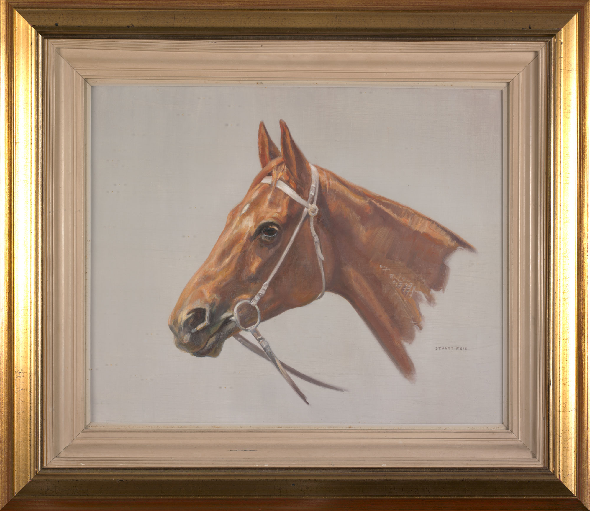 Phar Lap by Stuart Reid.