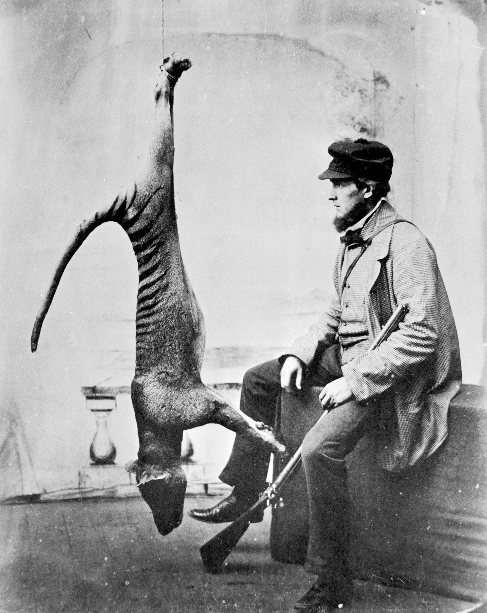 <p>Hunter poses with dead thylacine, 1869</p>
