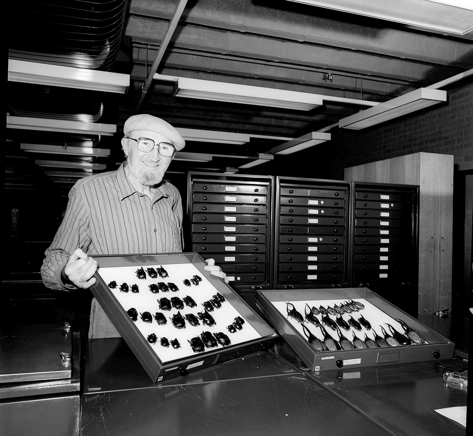 Dr George Bornemissza with dung beetle specimens.