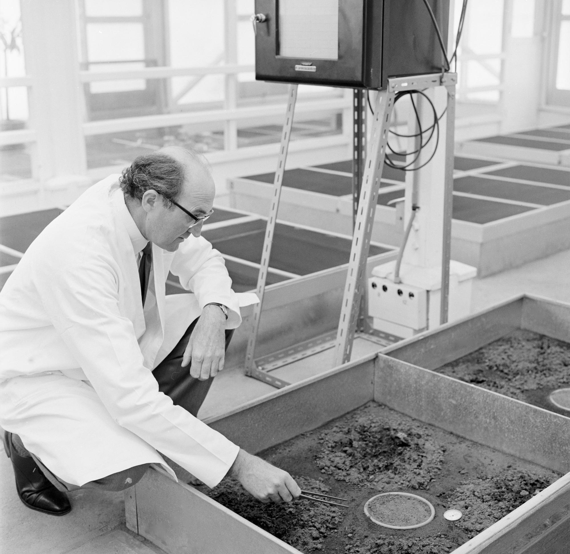 Dr George Bornemissza tends to African dung beetles, 1968.