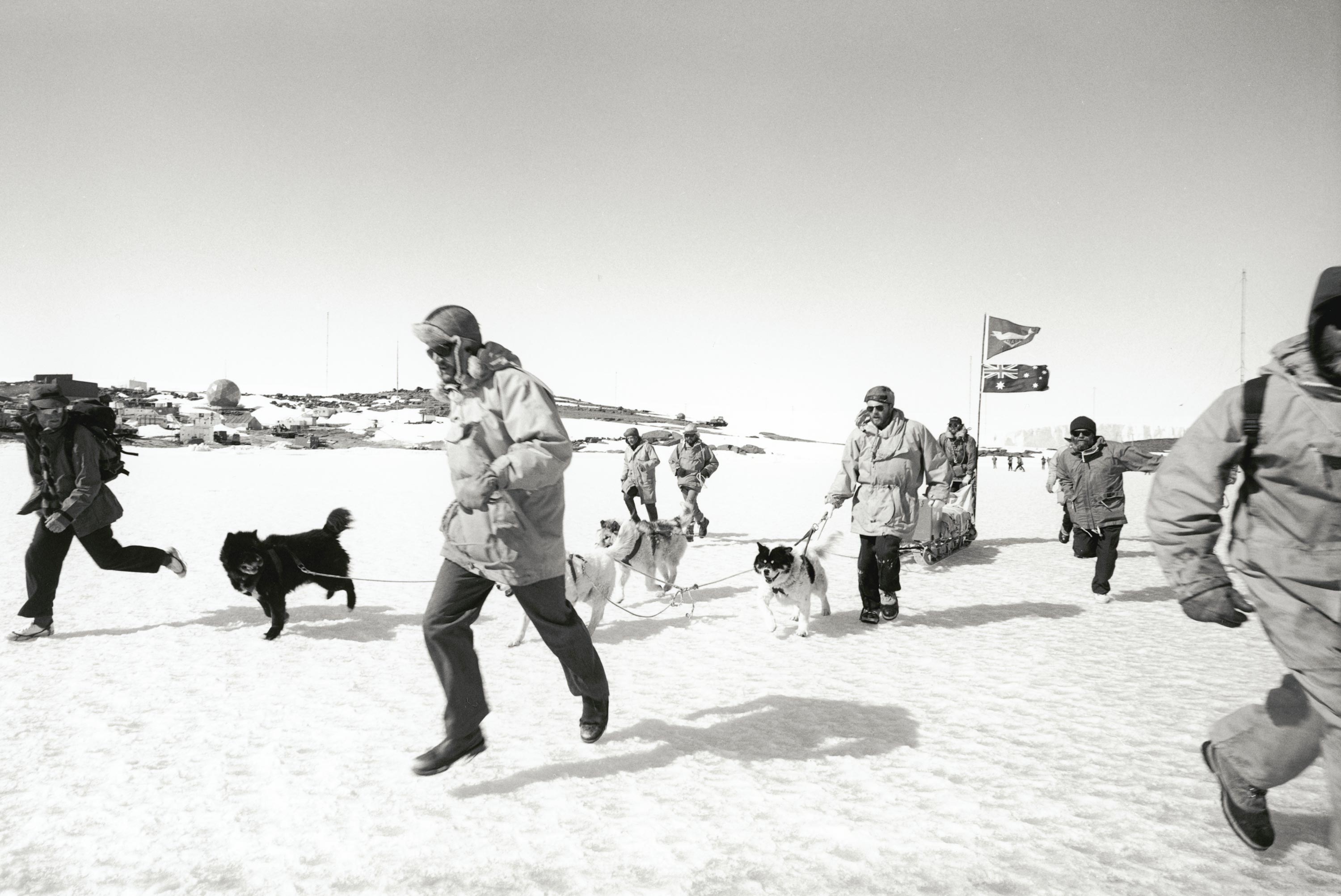 Last husky run with Australian National Antarctic Research Expedition club flag, Australian Antarctic Territory, 1993. Charles J. Page. 