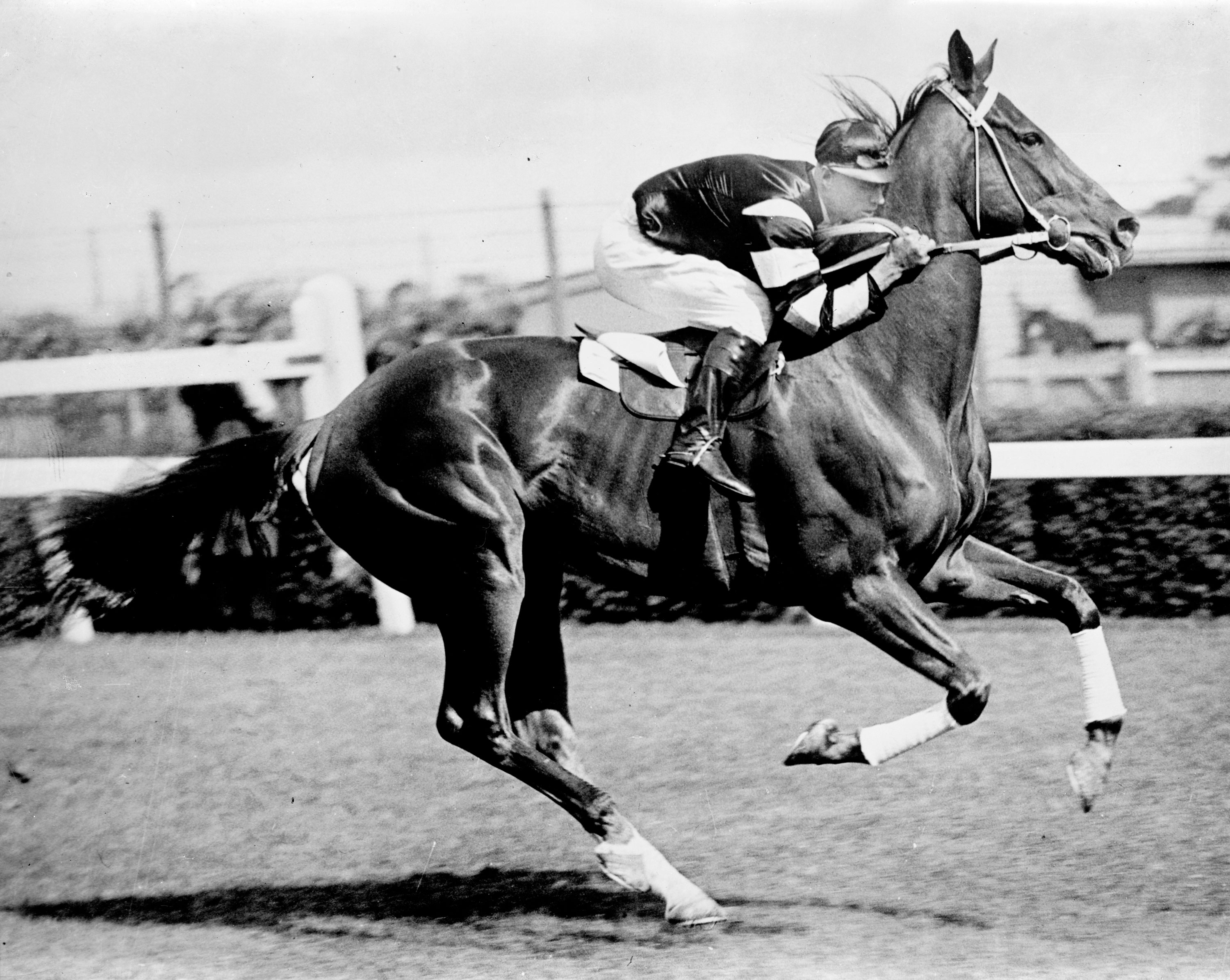 Phar Lap and jockey, about 1930.