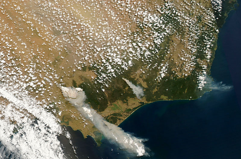 Satellite image of bushfire smoke, 7 February 2009.