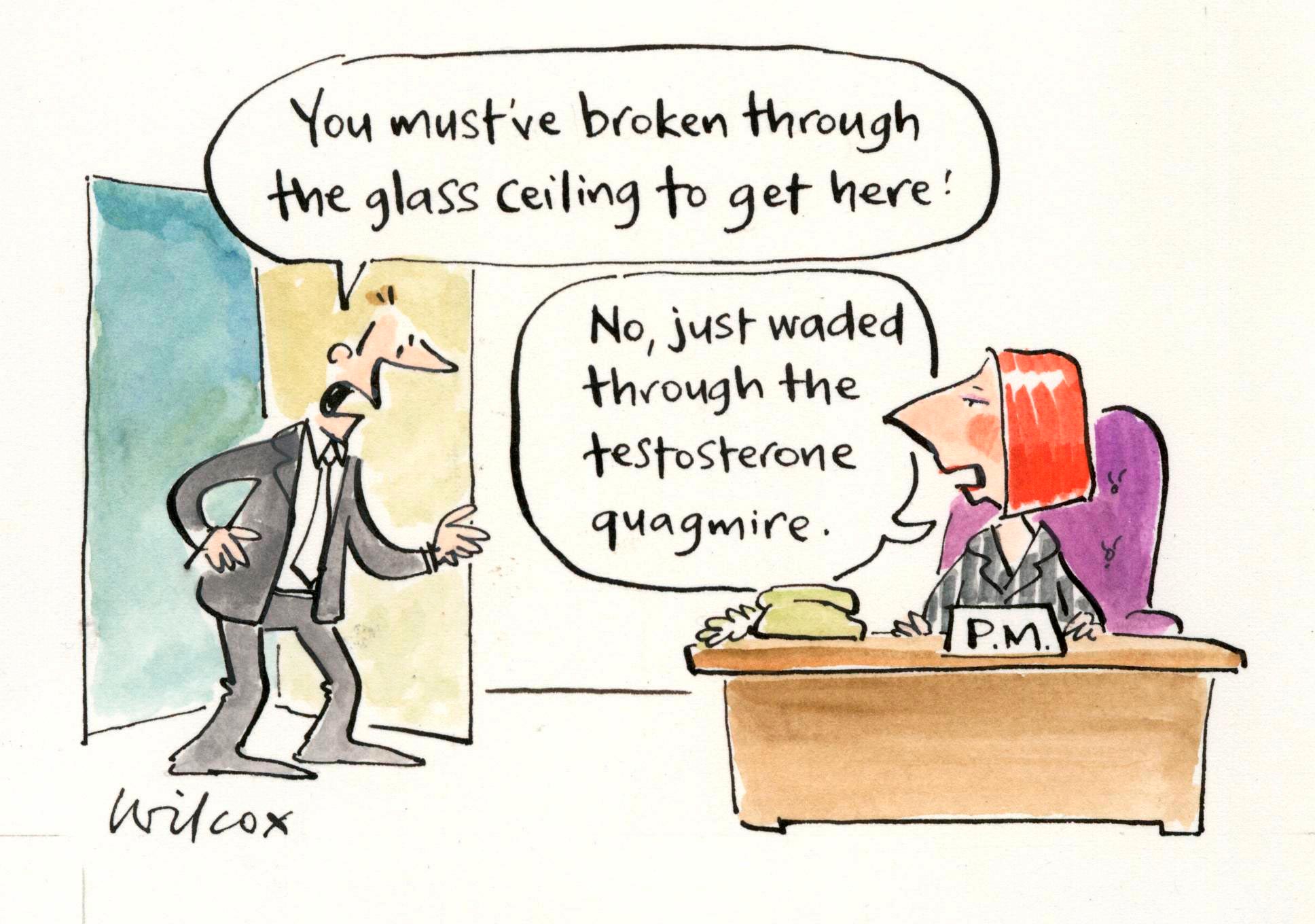 Cartoon titled ‘Glass ceiling’, by Cathy Wilcox, 2010.