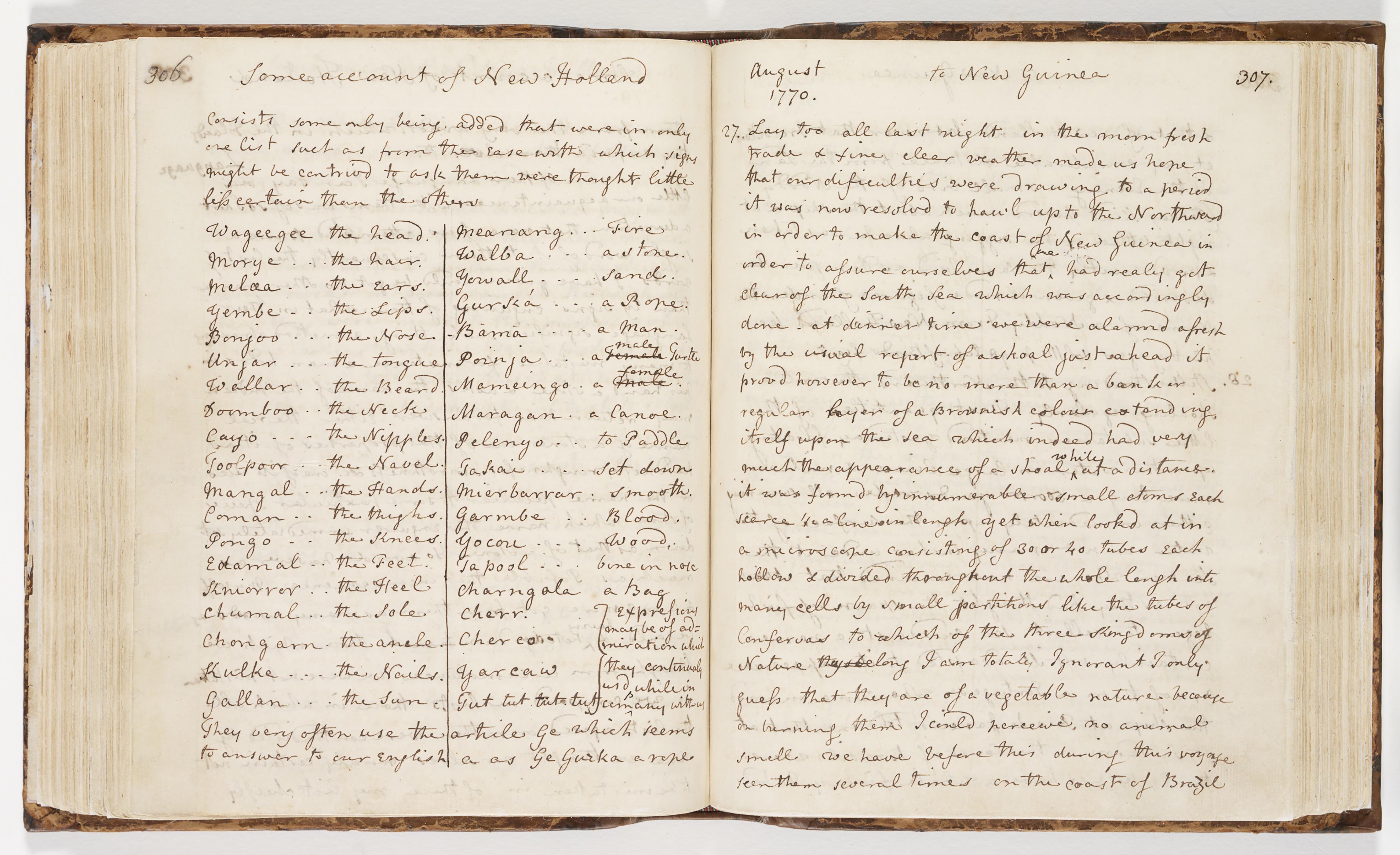 A page from Joseph Banks’ Endeavour journal, August 1770.