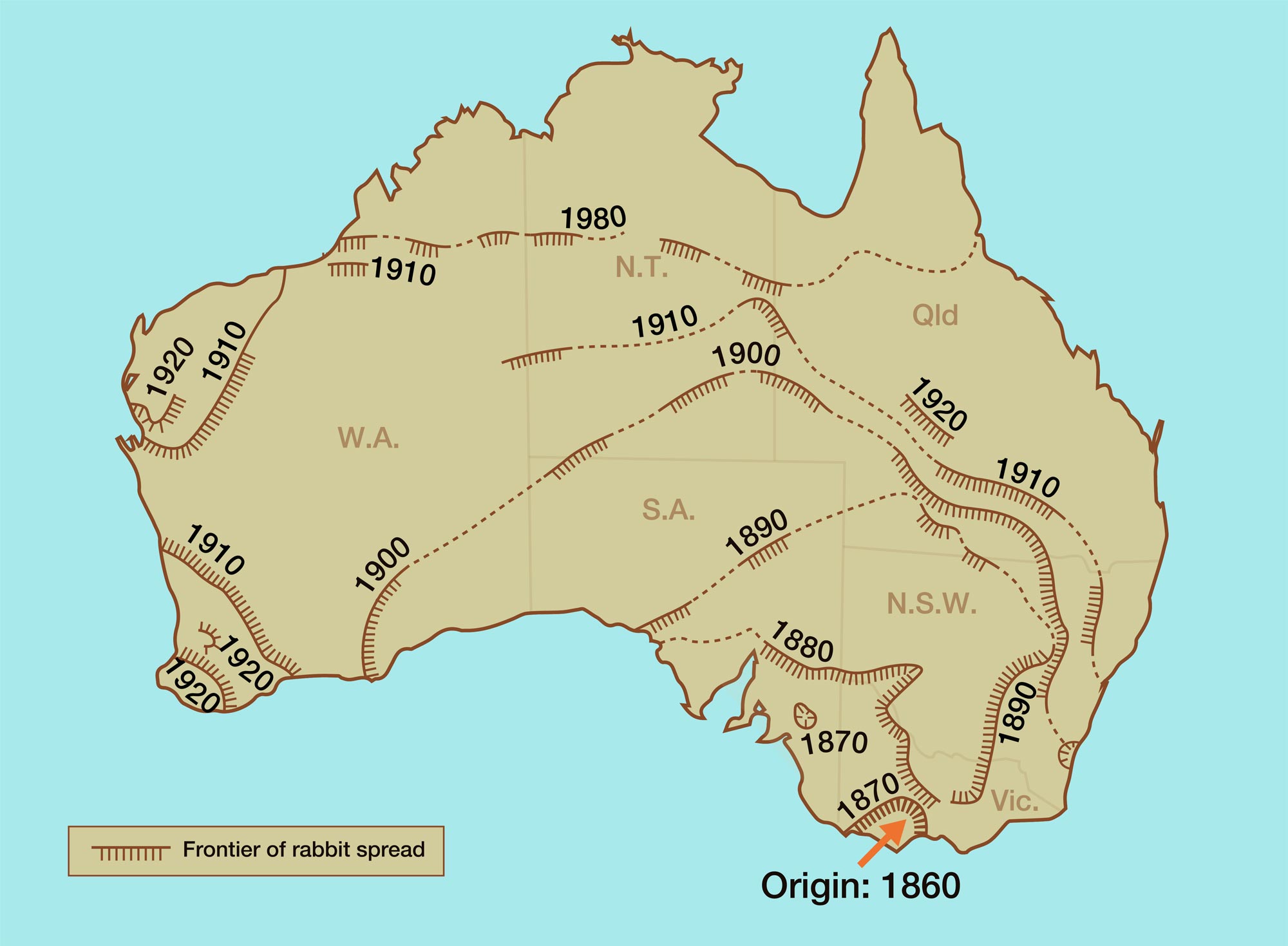 The spread of rabbits throughout Australia (approximate dates only).