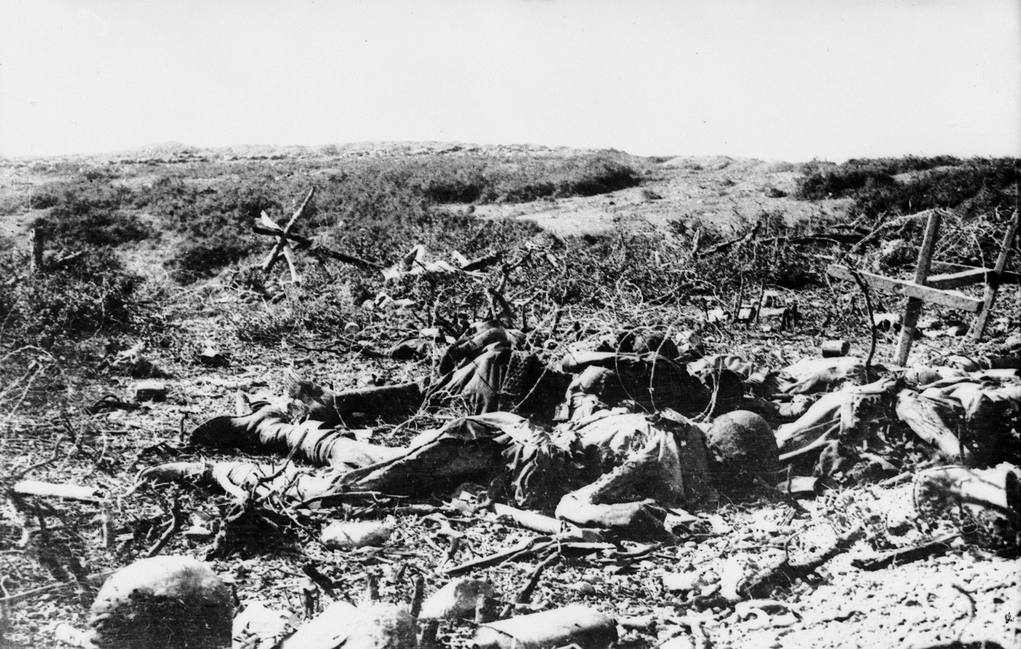 The aftermath of the Battle of Lone Pine, Gallipoli, 1915.