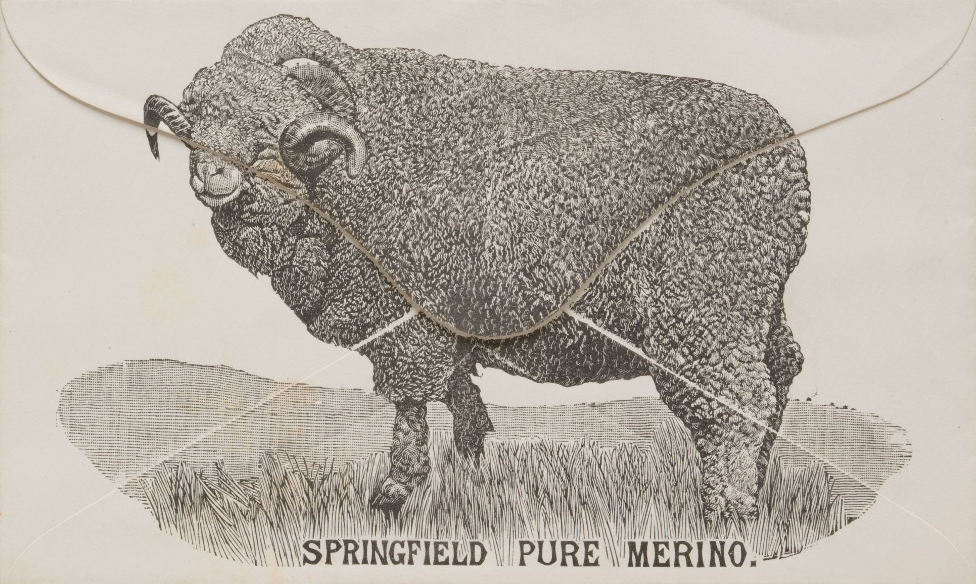 <p>Envelope with an illustration of a merino ram on it</p>
