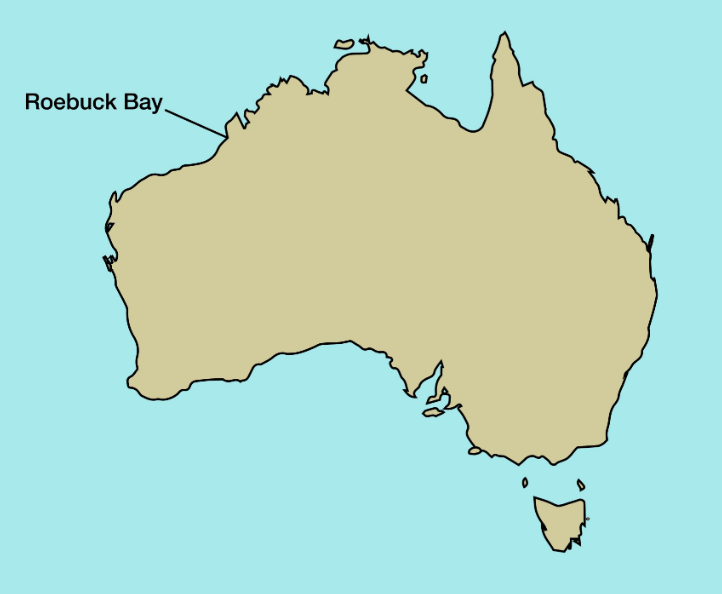 <p>Location of Roebuck Bay</p>
