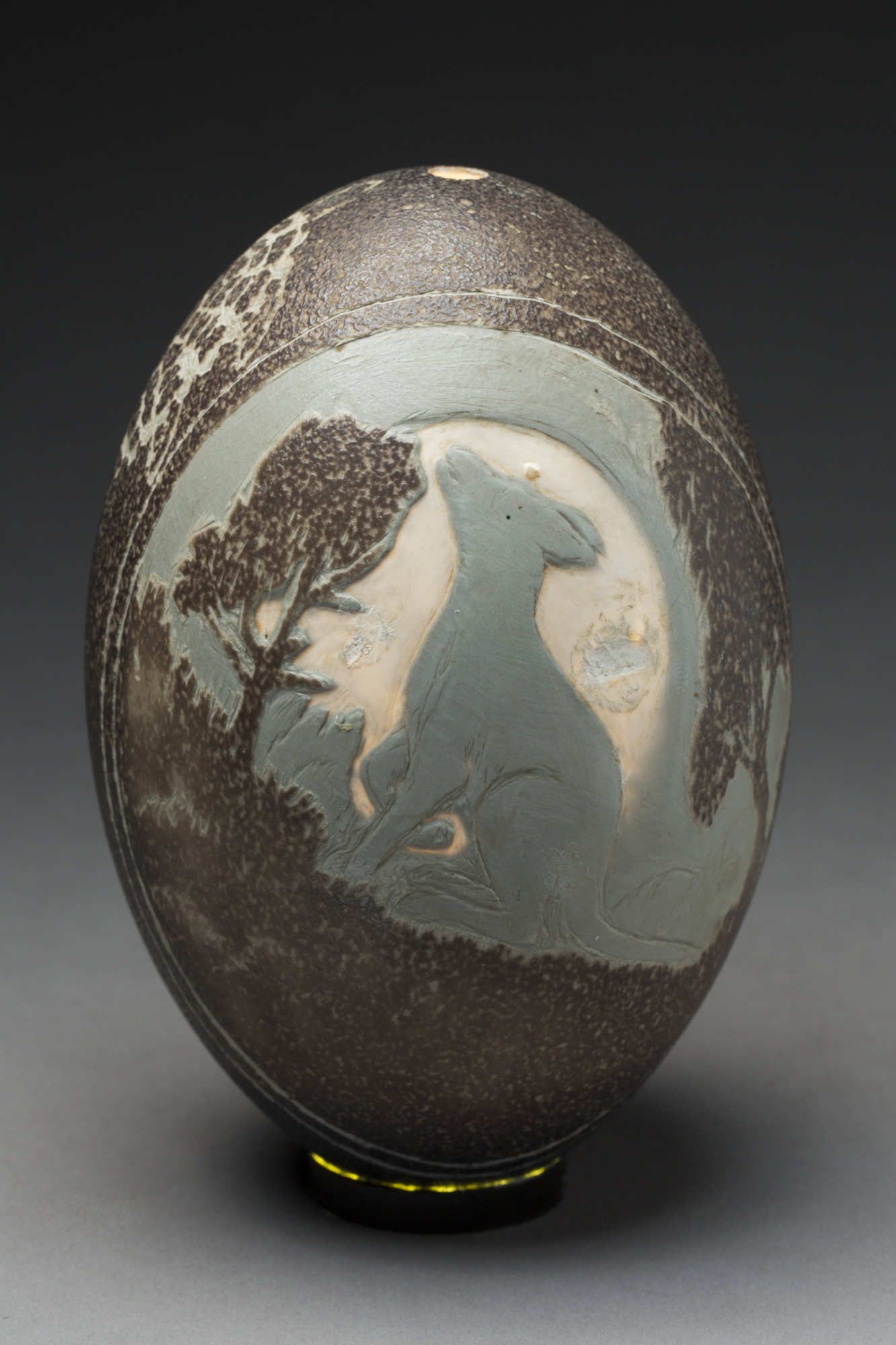 Emu egg carved with image of a dingo and possum, by Bill Reid.