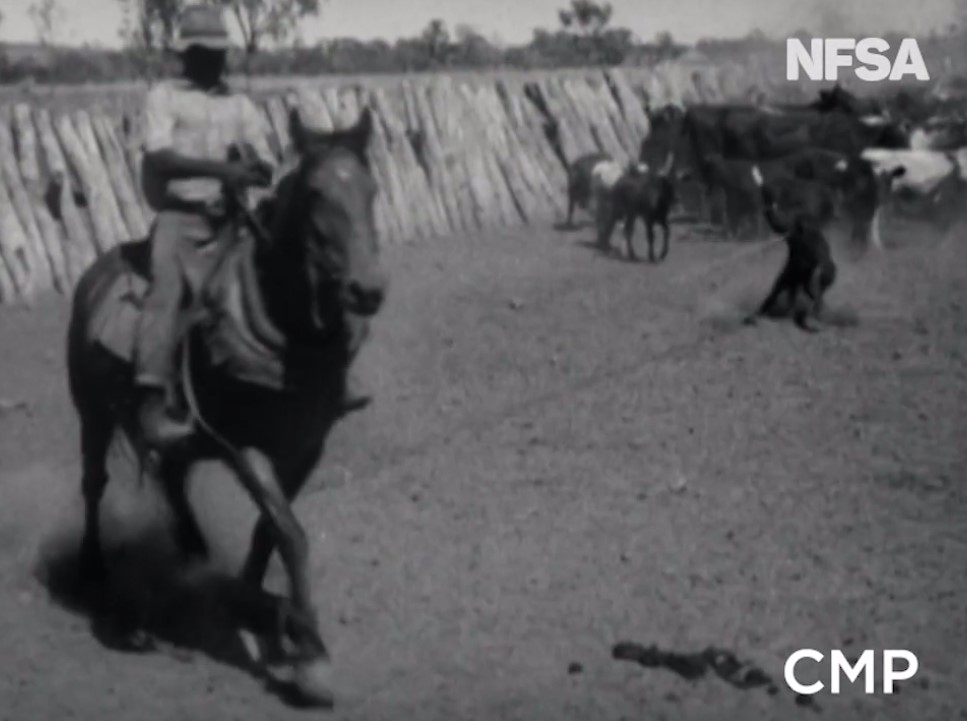 Photo still of a black and white film with a man on horse in a stockyard.