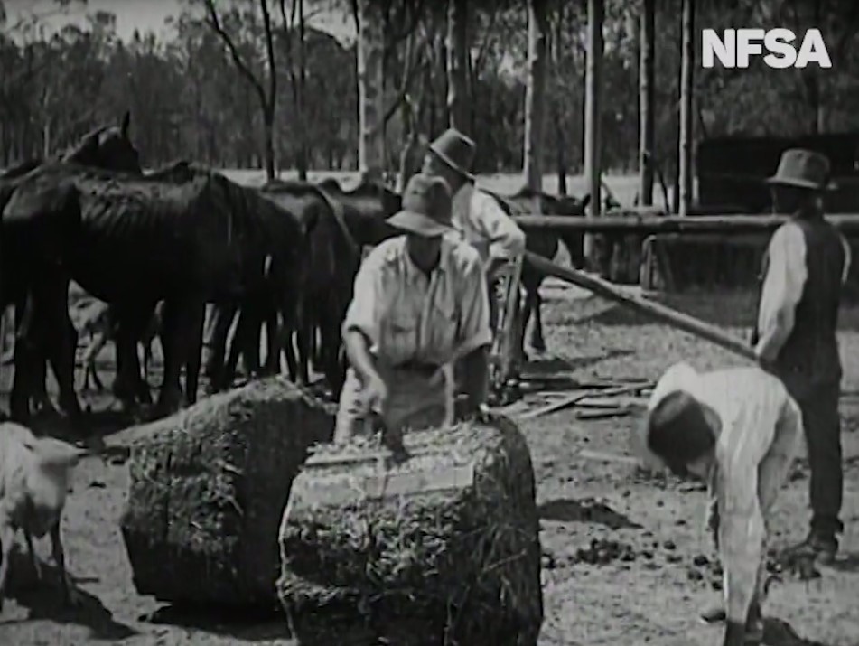 Impacts of drought (1920) (silent)