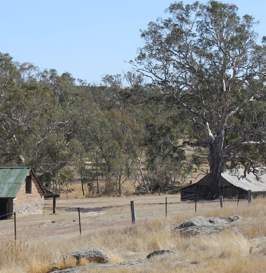 What can a farm tell us about defining moments?