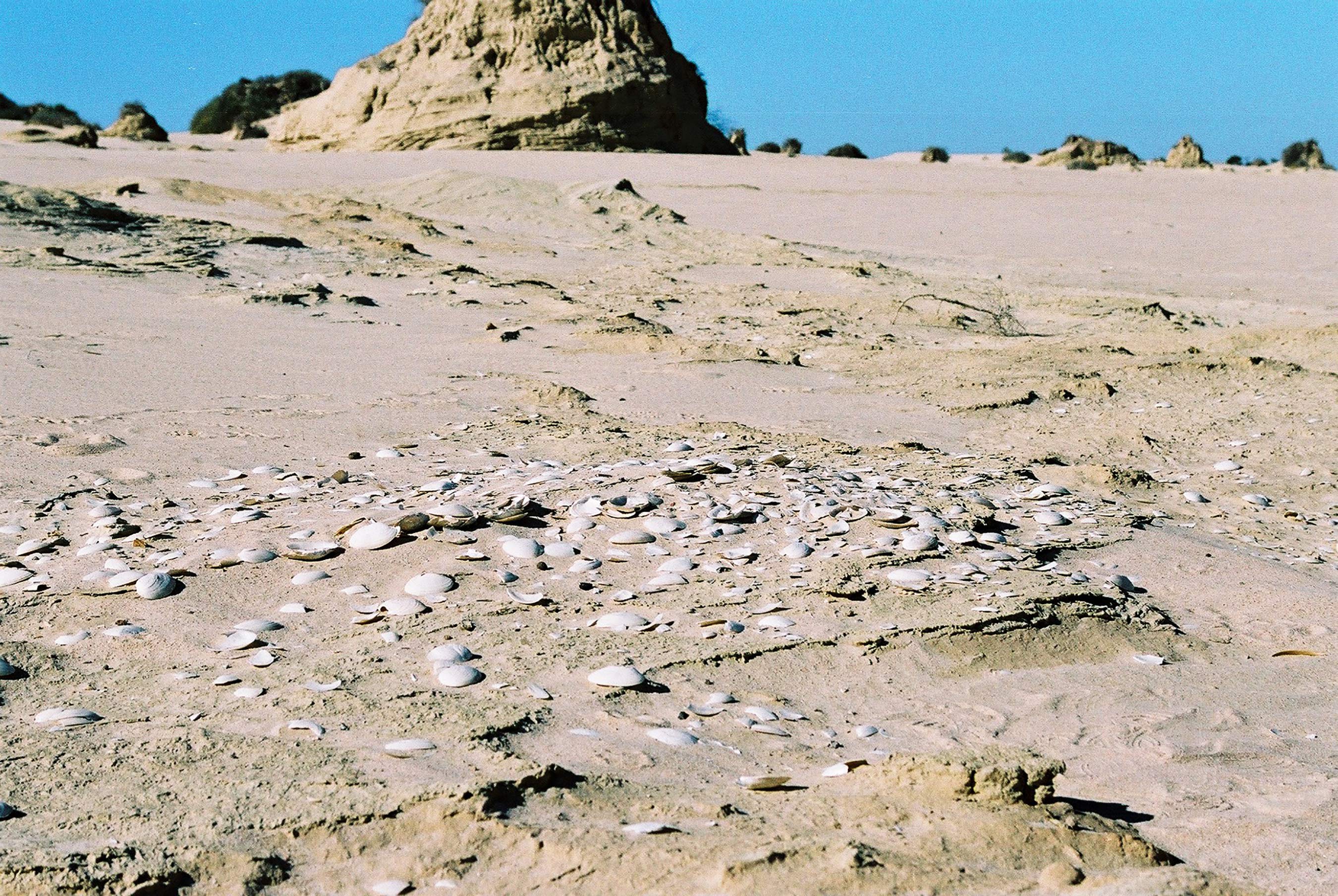 <p>An ancient midden of freshwater mussel shells at Lake Mungo</p>
