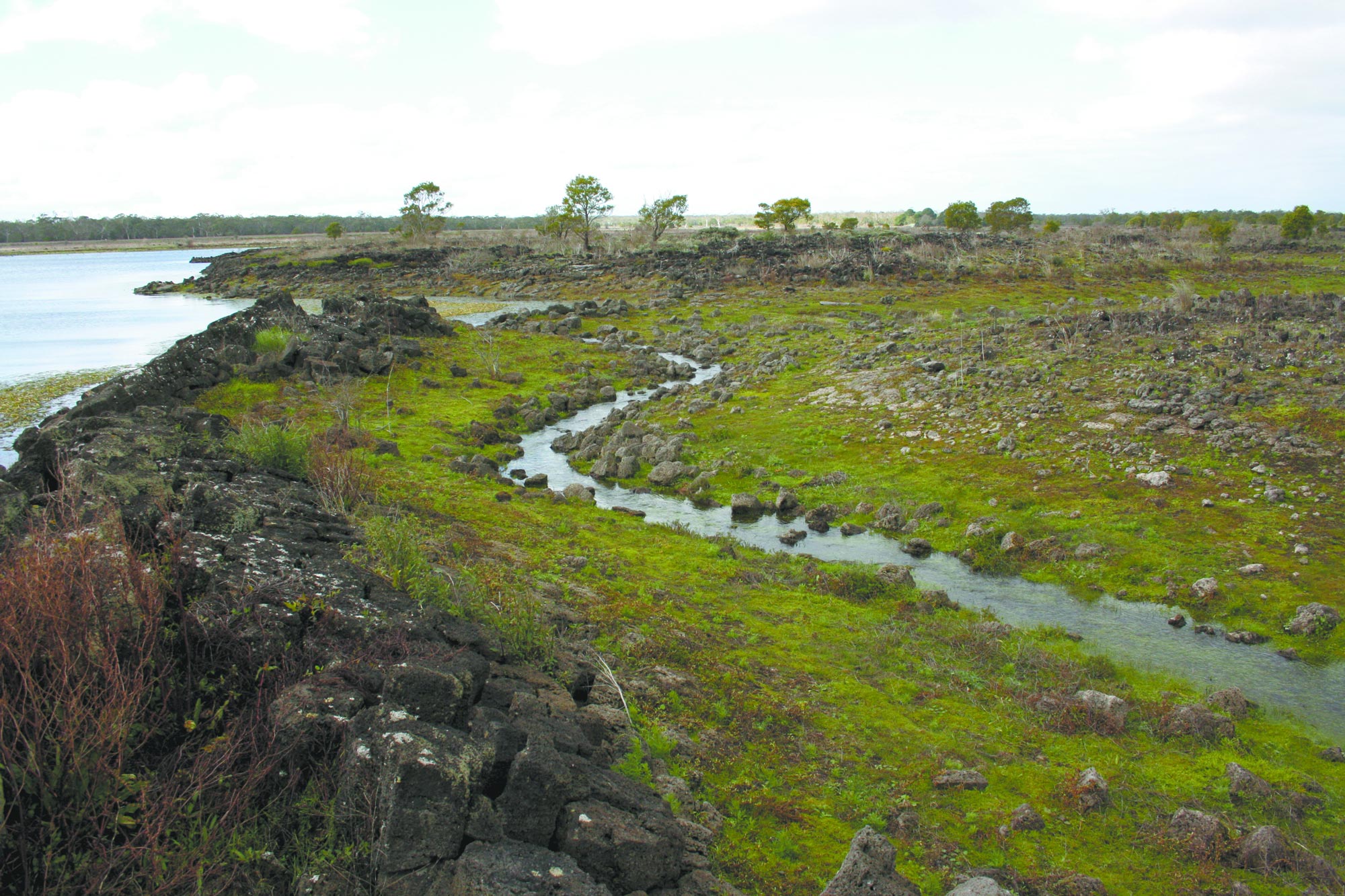 D: Volcanic rocks and a stream at Budj Bim