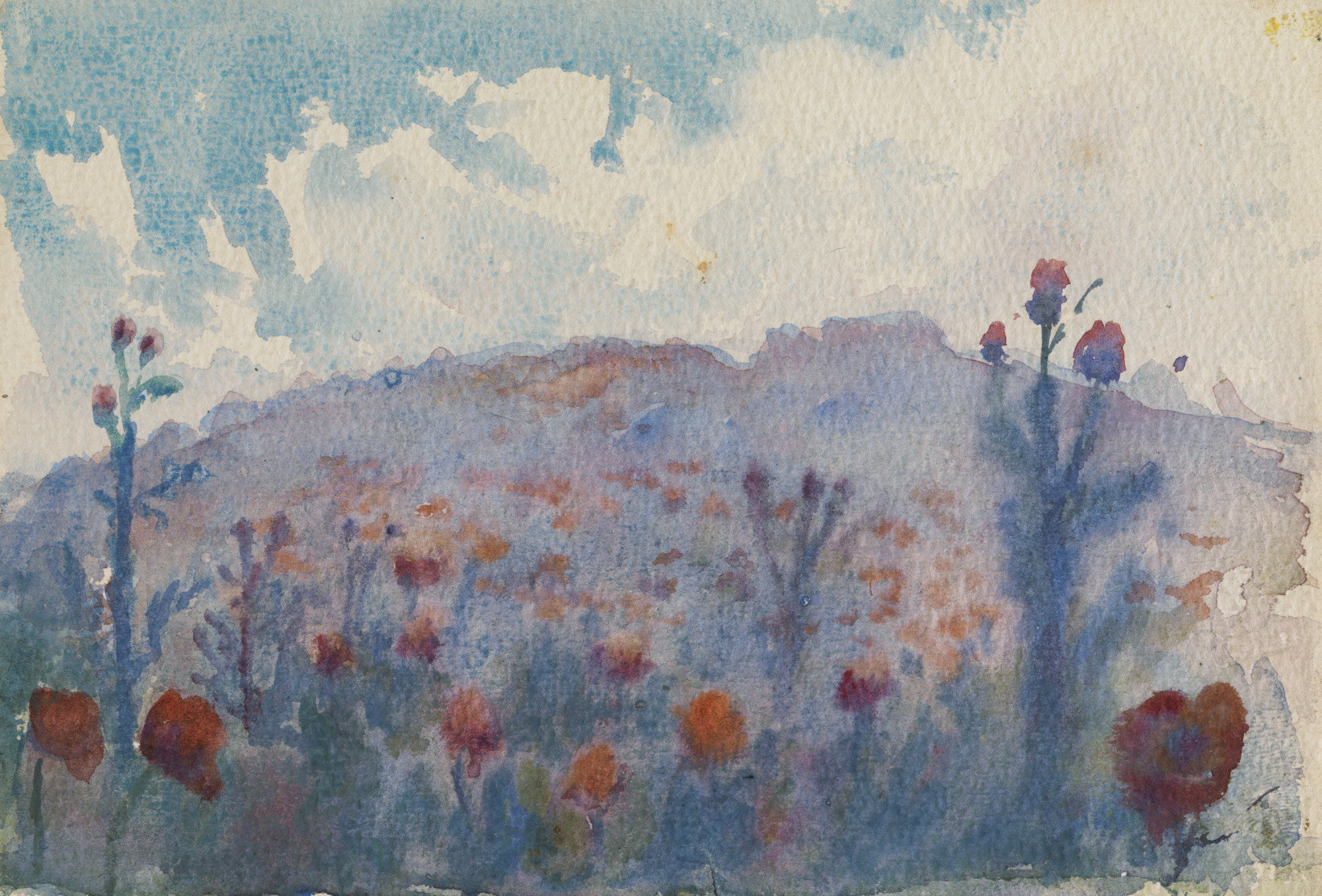 Wild Poppies, Mont Kemmel, Kenneth Macqueen, 1917 or 1918, watercolour on paper