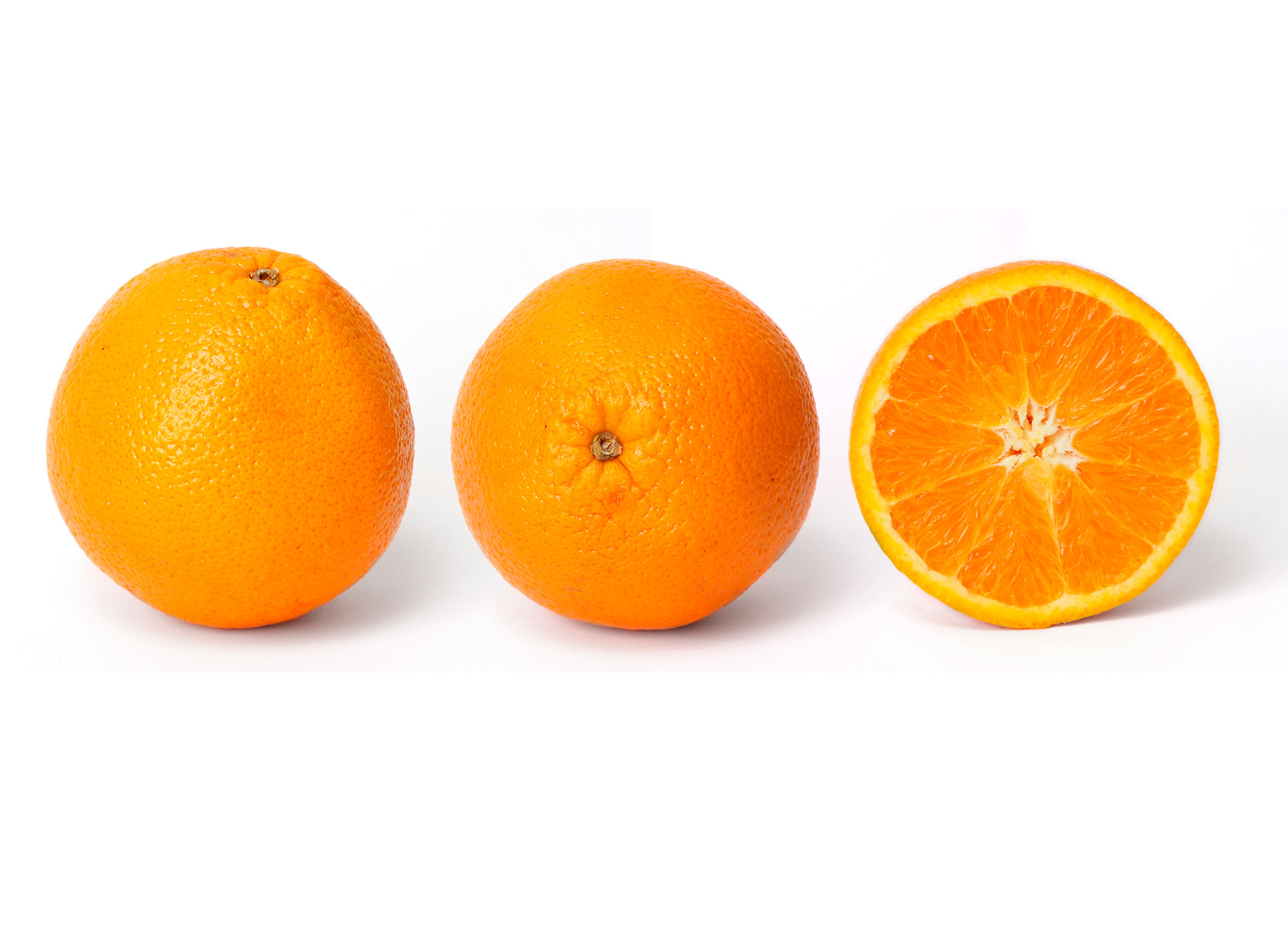 <p>Cross-section of an orange</p>
