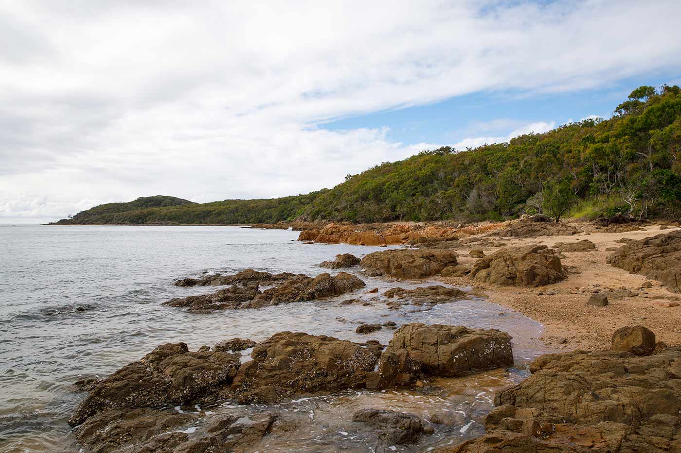 Colour photo of a cove with a rocky beach and vegetation stretching into the distance.