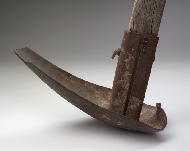 A combined pick and shovel, timber-handled, implement known as a 'Pelican'. It has a rounded metal head, which is chipped at the front and dented at the rear. The handle is well worn.