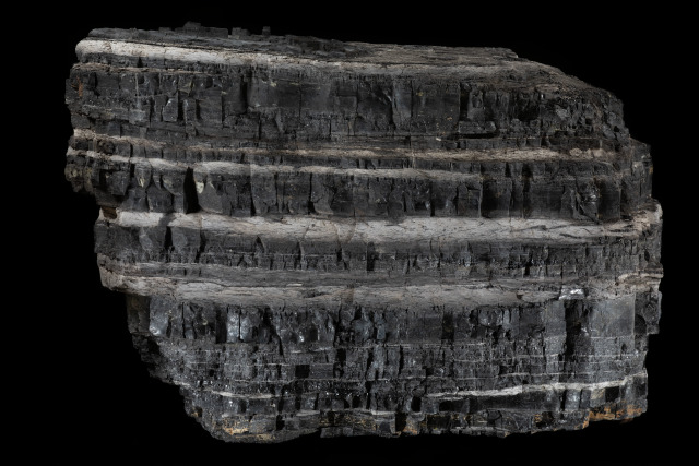 A large sample of coal featuring various shades of grey and black.