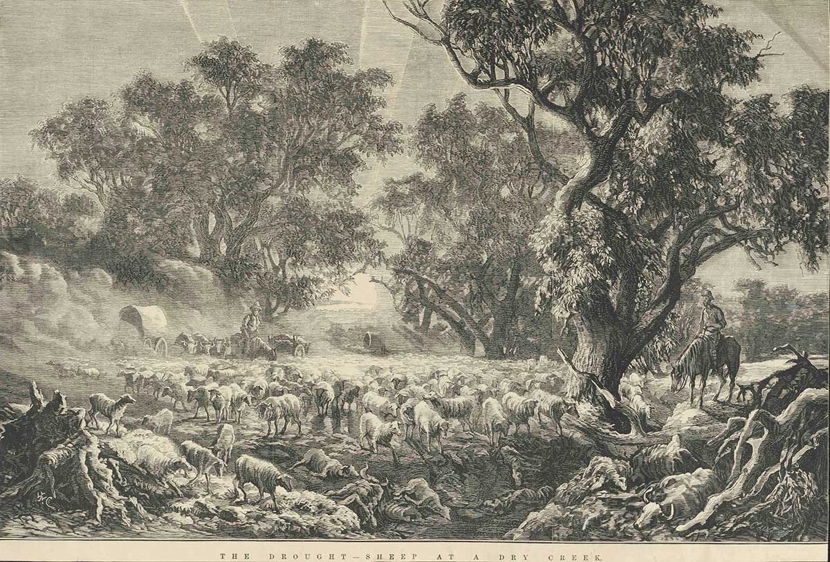 <p>The Drought, Sheep at a Dry Creek, J.W.C. Calvert,&nbsp;1879</p>
