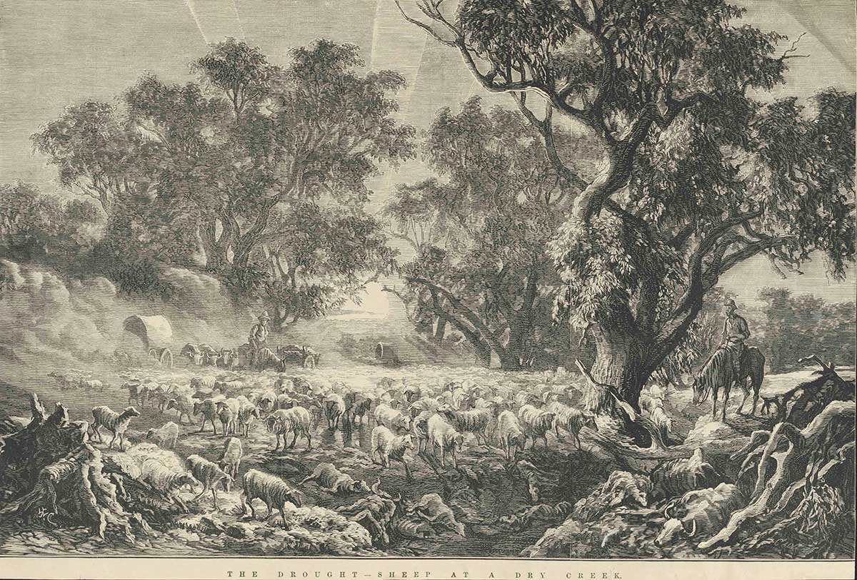 Illustration of depicting drovers steering a flock of sheep through bushland. At the bottom is the text 'THE DROUGHT-SHEEP AT A DRY CREEK'.