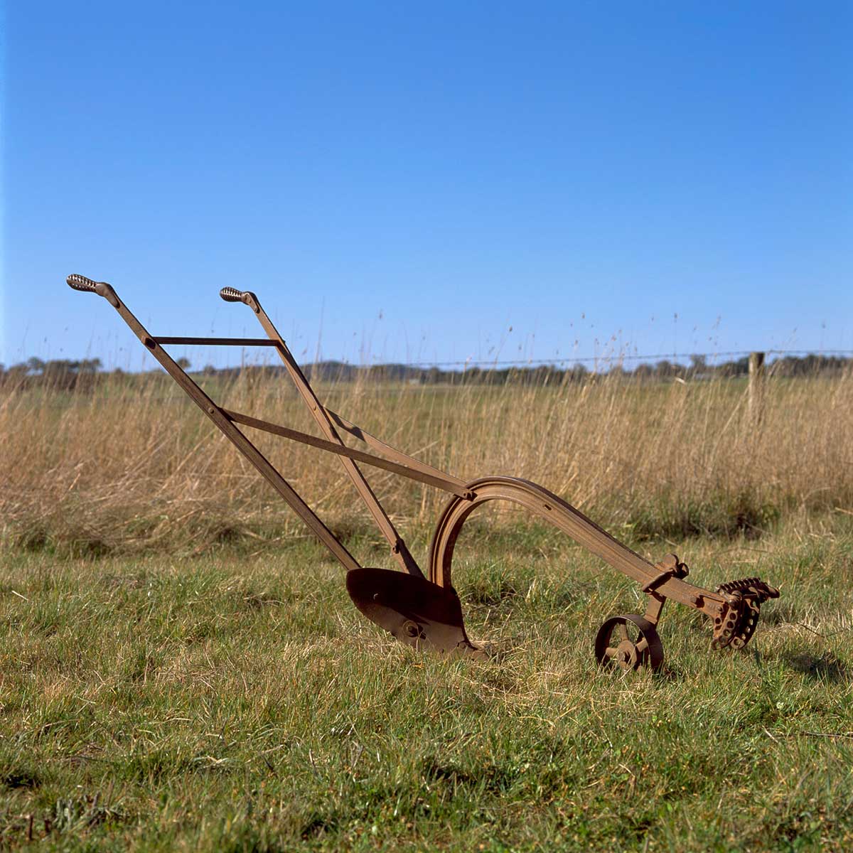 Single-furrow horse-drawn metal plough in a field.