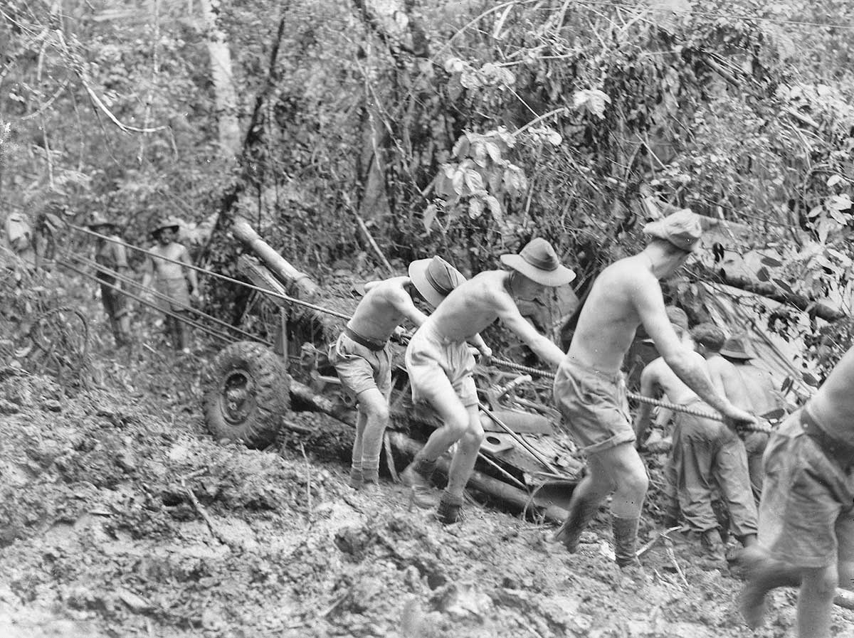 Black and white photograph of Australian soldiers pulling weaponry through dense jungle.