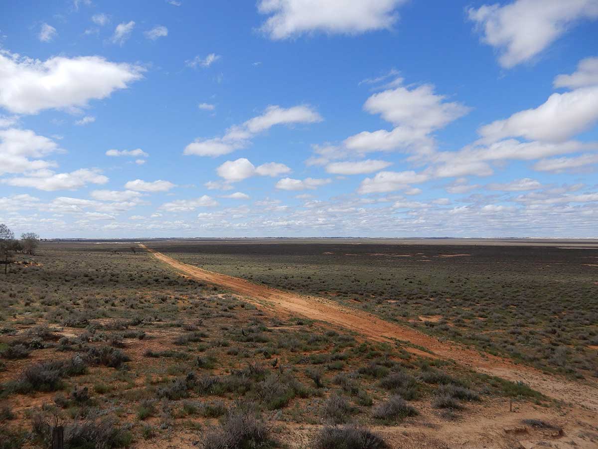 Dirt road cutting through a vast dry landscape of low shrubbery and grasses.