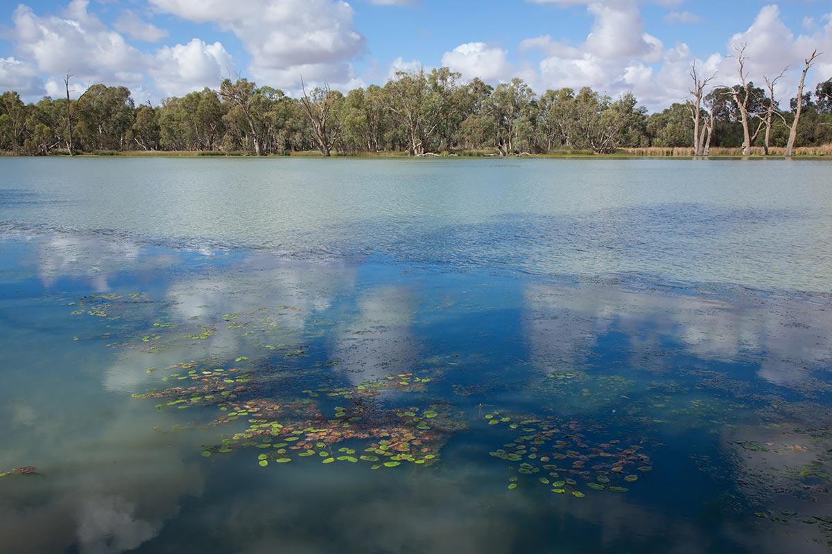 <p><span>Lake Mungo was once filled with water. It might have looked like this (image from elsewhere in New South Wales Riverina).</span></p>
