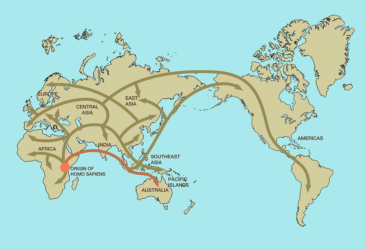 <p>Map showing possible routes taken by homo sapiens out of Africa</p>

