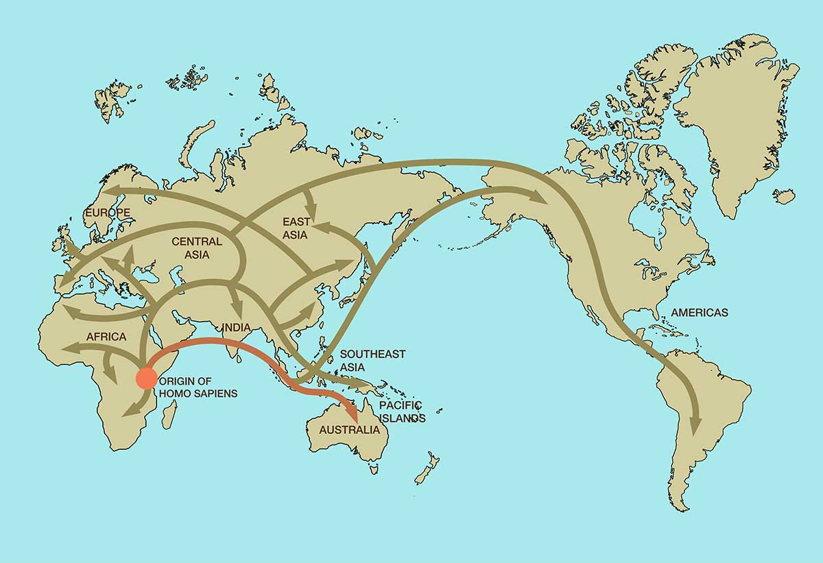 <p>Map showing possible routes taken by homo sapiens out of Africa</p>
