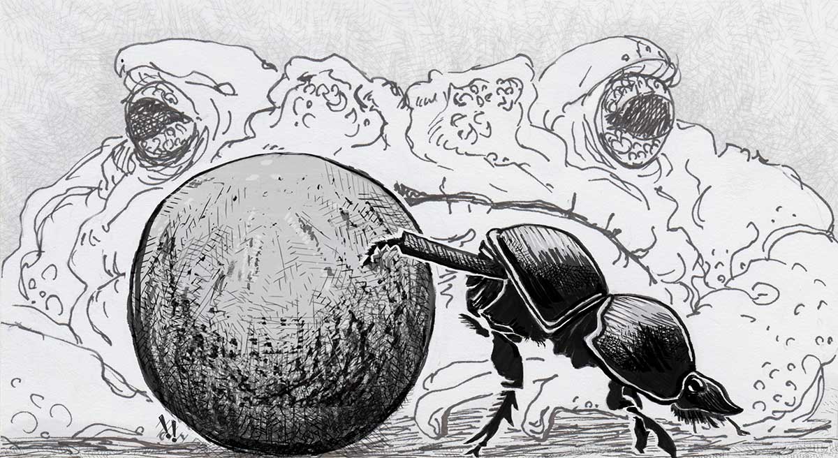 Illustration of a dung beetle rolling a ball of dung. A cane toad which has been drawn loosely, looms in the background.
