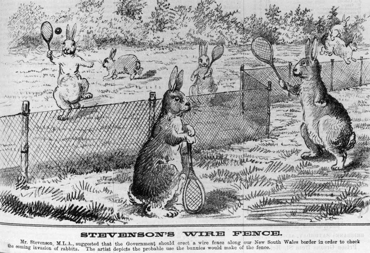 Black and white illustration titled 'STEVENSON'S WIRE FENCE' depicting a group of rabbits playing tennis across a wire fence.