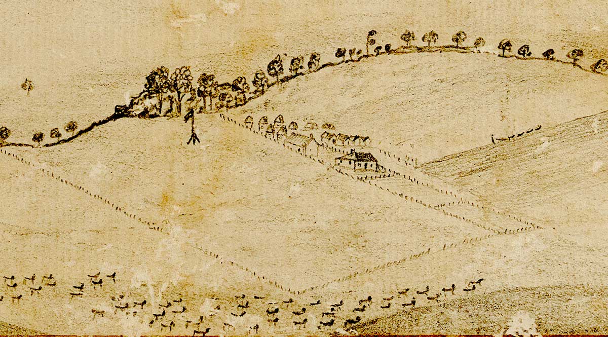 Illustration of a landscape featuring sprawling countryside of paddocks with a farmstead in the middle, livestock in the foreground and a line of trees in the background.