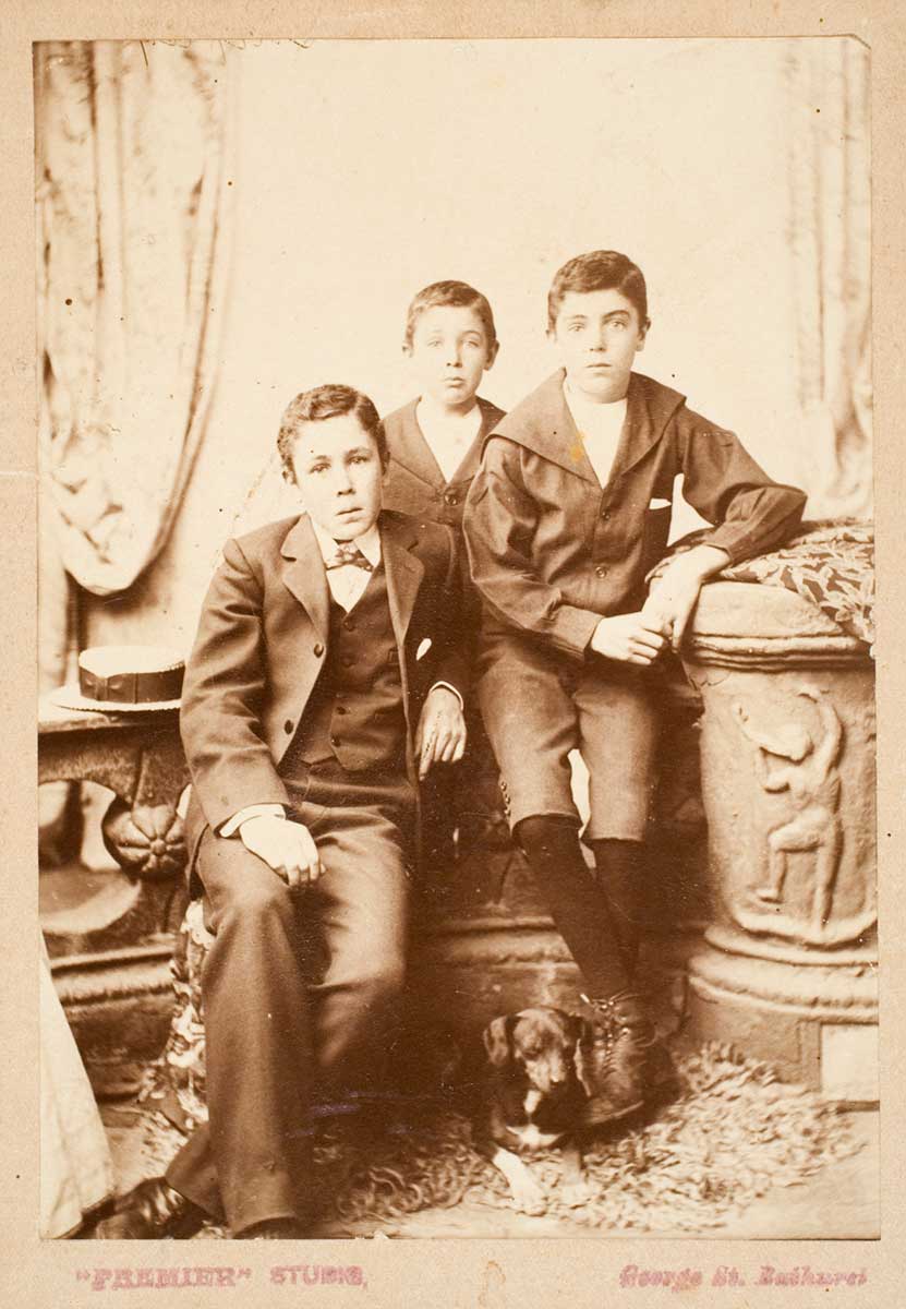 A sepia portrait photograph of three boys in suits grouped in front of a backdrop of drapes and carved stone, with a dog sitting at the boys' feet.