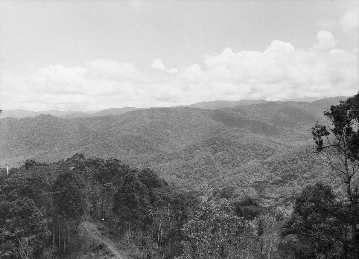 Black and white photo of mountain ranges covered in bush land.