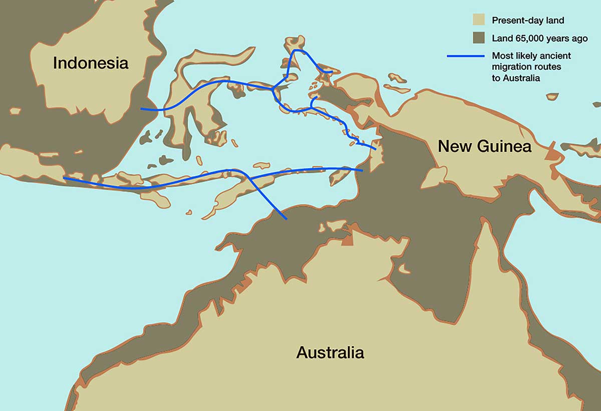 Map featuring migration routes between Indonesia, Australia and New Guinea.