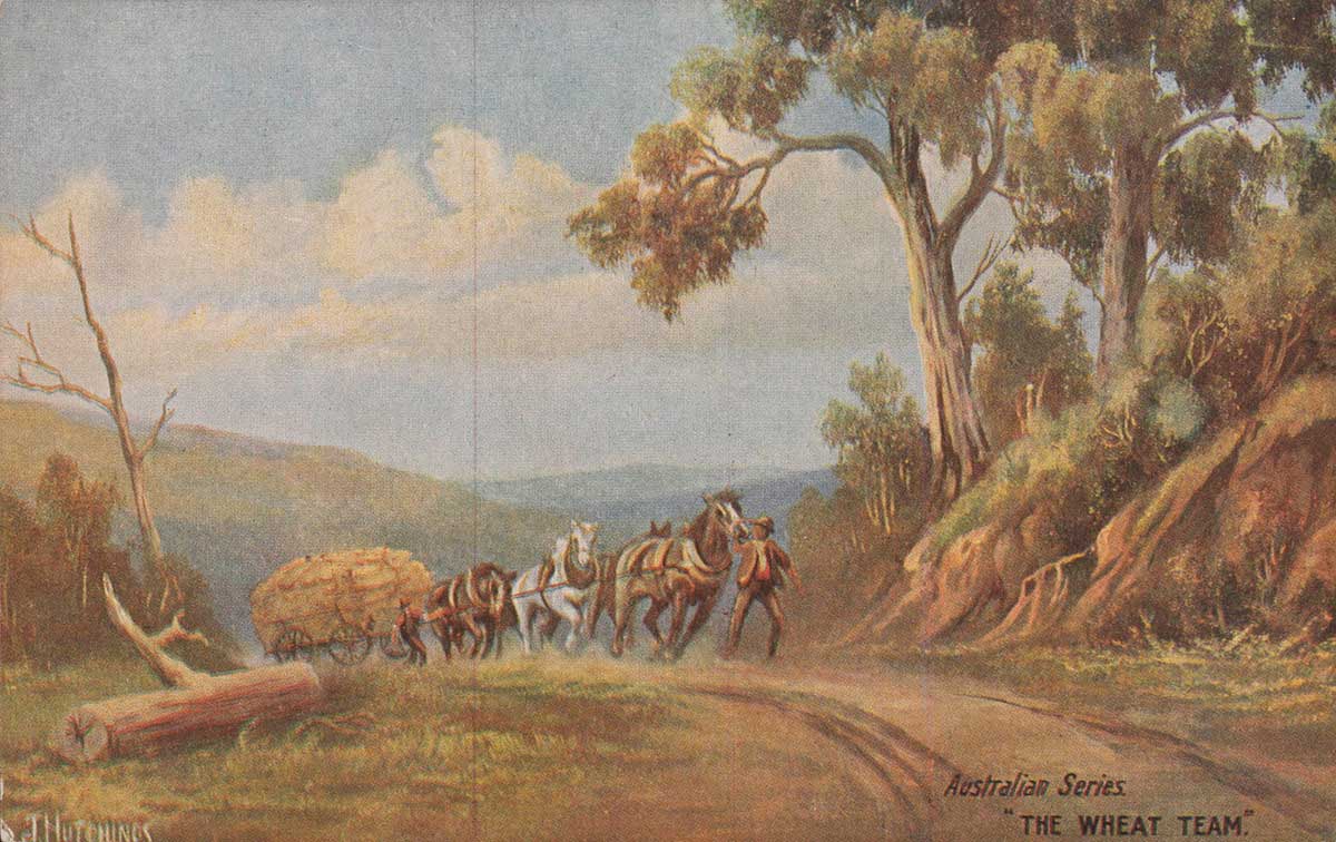 Postcard featuring a painting by J. Hutchings, titled "Australian Series. / 'THE WHEAT TEAM'.". It depicts two men leading and guiding a horse-drawn car through bushland.